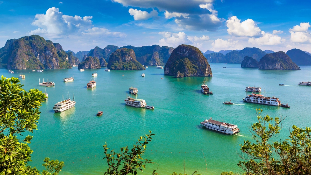 Ha Long cruise tour for 2 days 1 night
