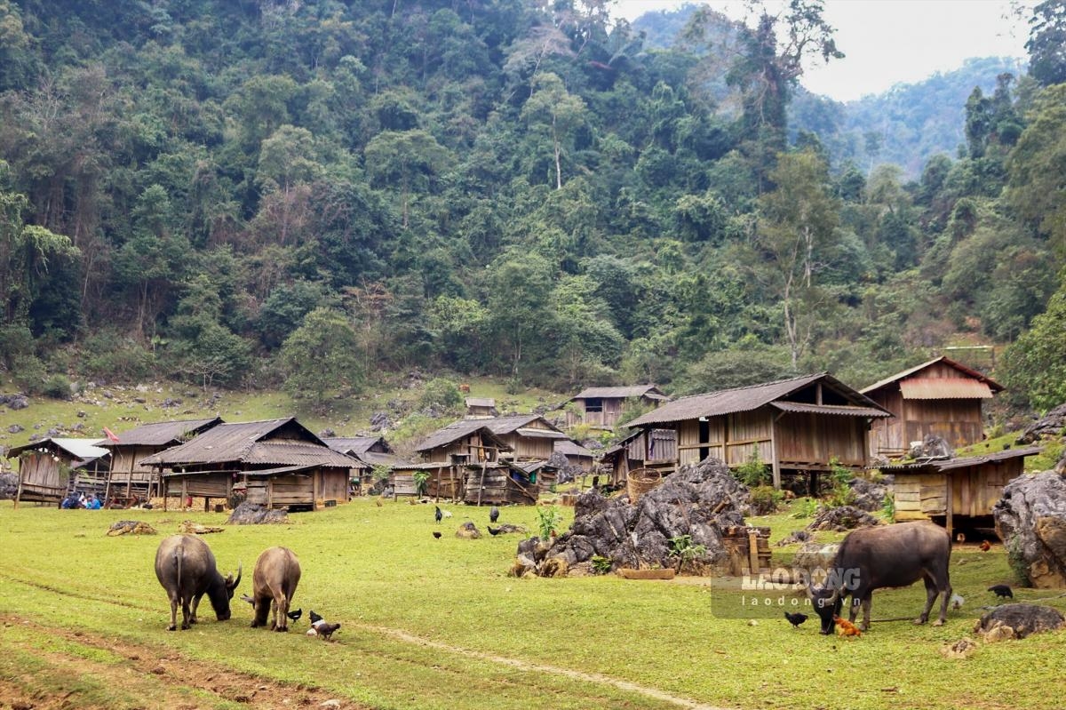 Moc Chau - Son La - Dien Bien 3N2D from Hanoi