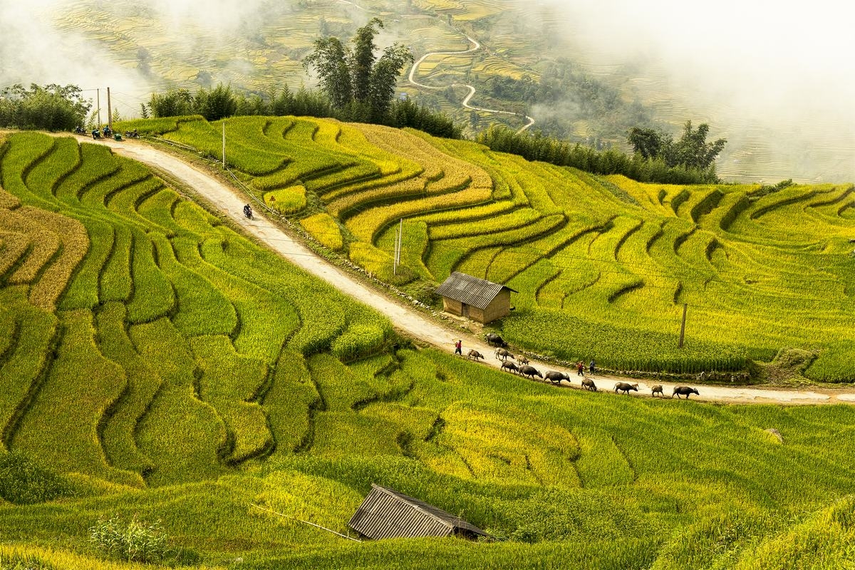 Tour Schedule Sapa – Y Ty – Lung Po 4 days 3 nights