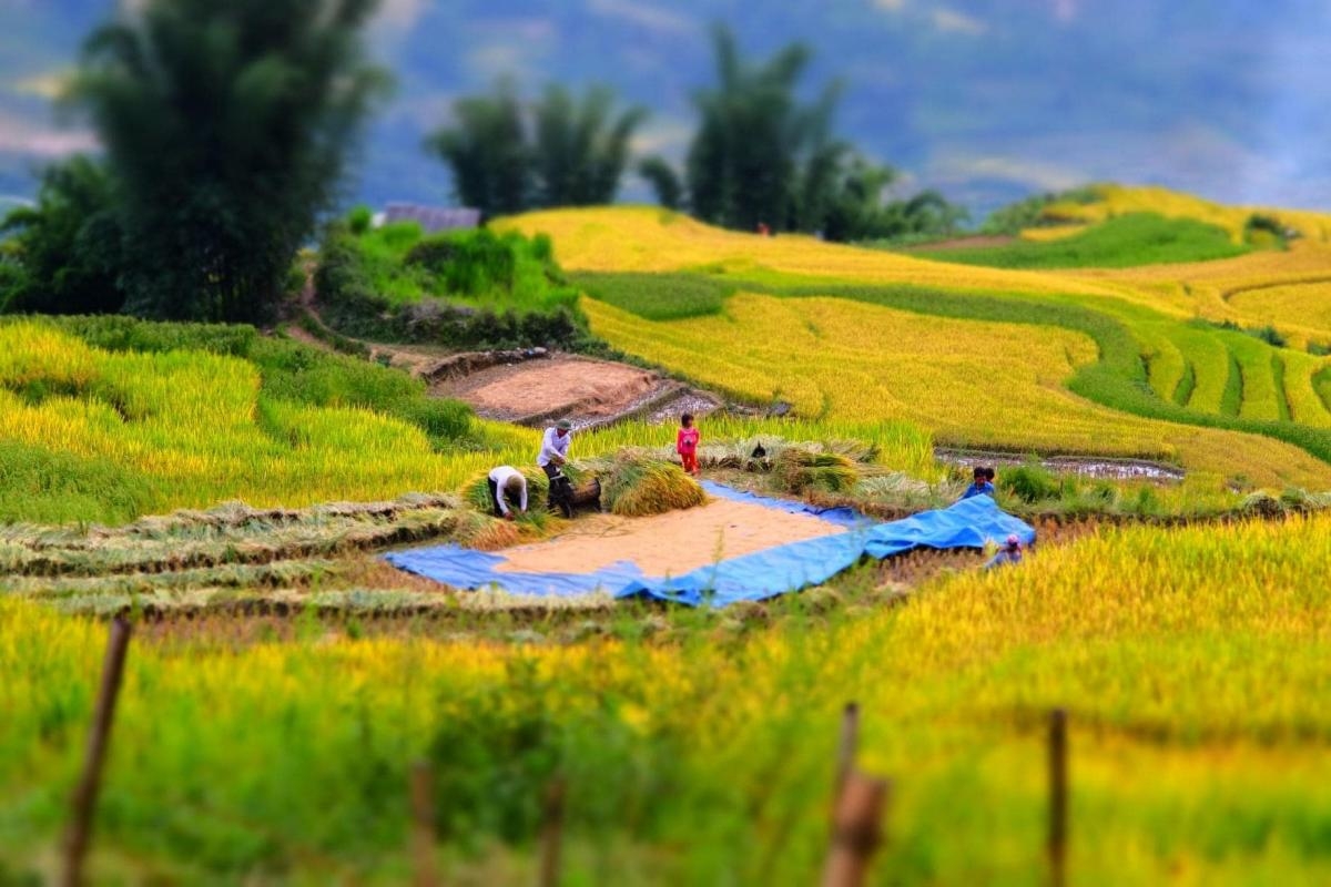 Tour Schedule Sapa – Y Ty – Lung Po 4 days 3 nights